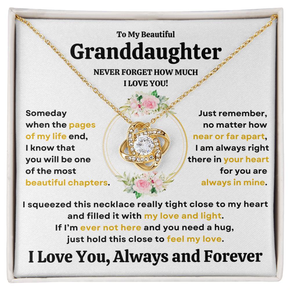 Beautiful Granddaughter Gift "Never Forget How Much I Love You" Necklace