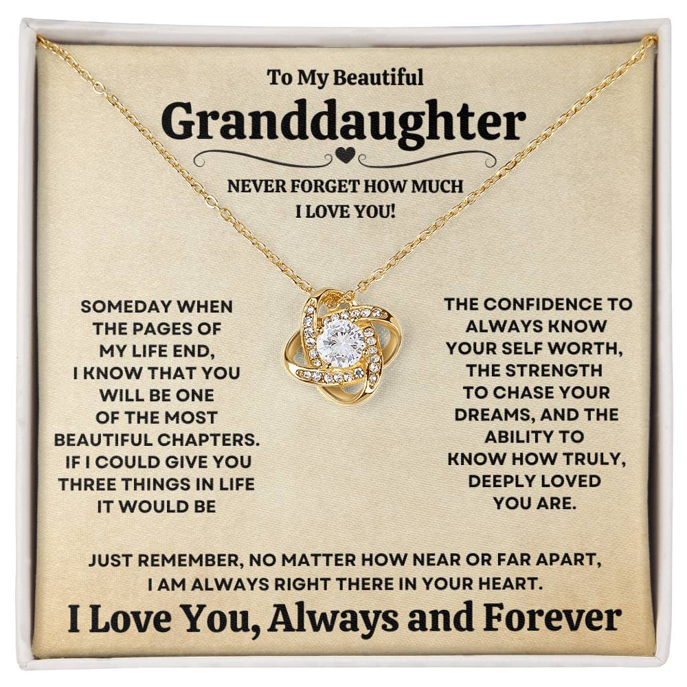 [ALMOST SOLD OUT] Beautiful Granddaughter Gift "Never Forget How Much I Love You" Necklace