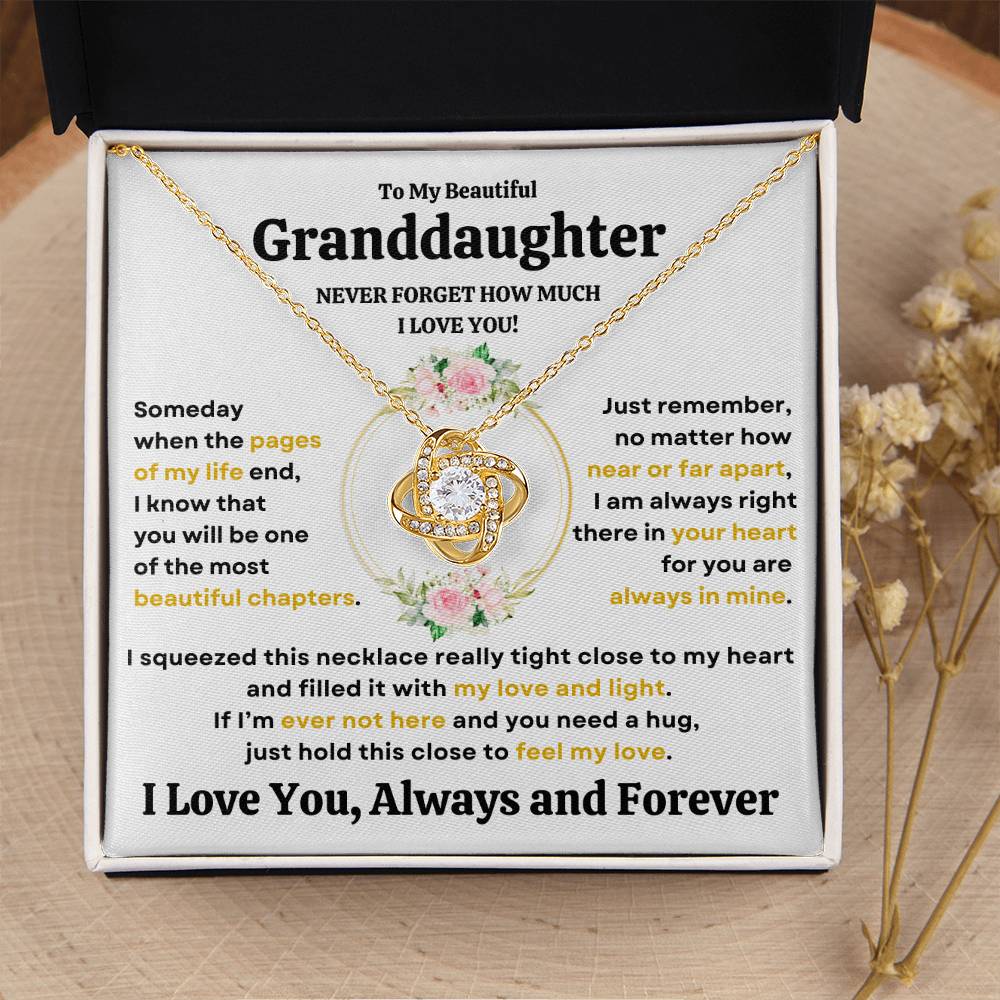 Beautiful Granddaughter Gift "Never Forget How Much I Love You" Necklace