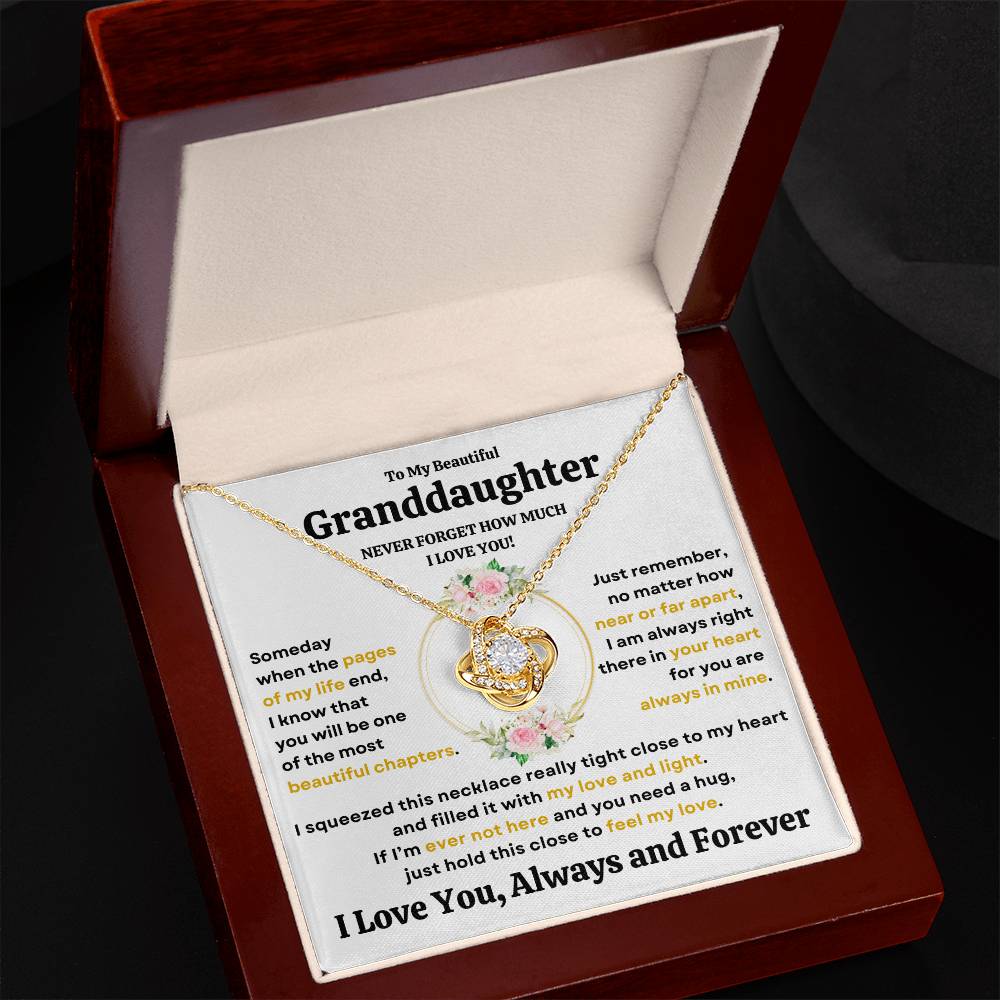 Beautiful Granddaughter Gift "Never Forget How Much I Love You" Necklace